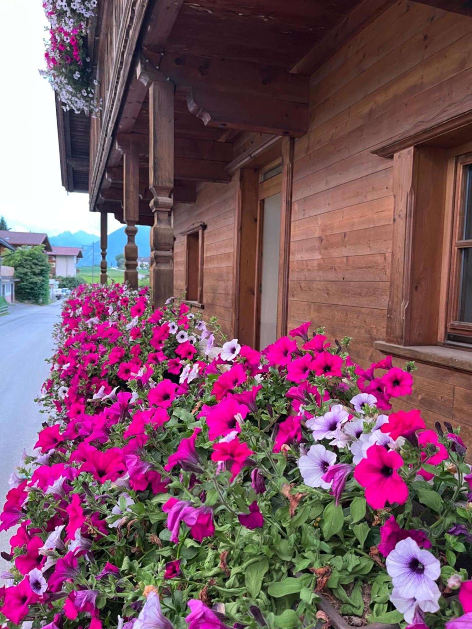 Ferienwohnung Seppen Reith im Alpbachtal Exteriör bild
